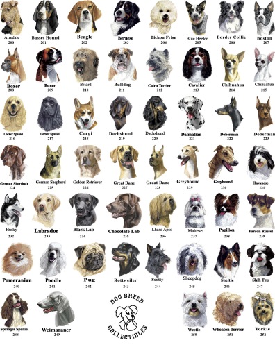 Dog breeds chart